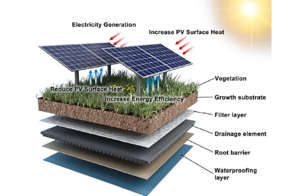 Renewable Energy Services